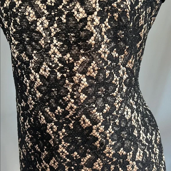 Talbots Lace Sheath Dress - Picture 4 of 10